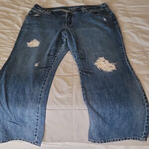 Lane Bryant Classic Blue Denim Jeans